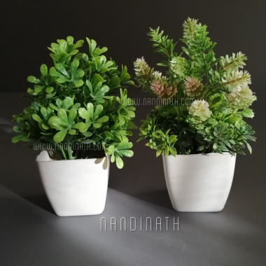 Decor-MIniature-Bonsai-Garden-Tree pot