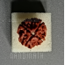 Nandinath - Rudraksha - 4 Mukhi - Four Face - Nepali