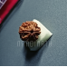 Nandinath - Rudraksha - 6 Mukhi - Six Face - Nepali