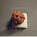 Nandinath - Rudraksha - 6 Mukhi - Six Face - Nepali