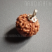 Nandinath - Rudraksha - 9 Mukhi - Nine Face - Nepali
